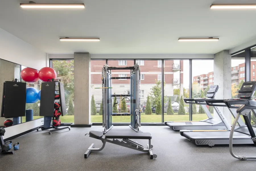 Fitness room looking onto the garden