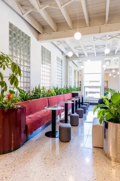 Burgundy banquette lined with plants under the windows